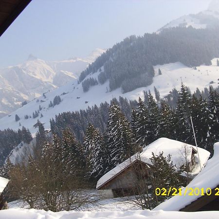 Apartment Nadeschda Adelboden Dış mekan fotoğraf