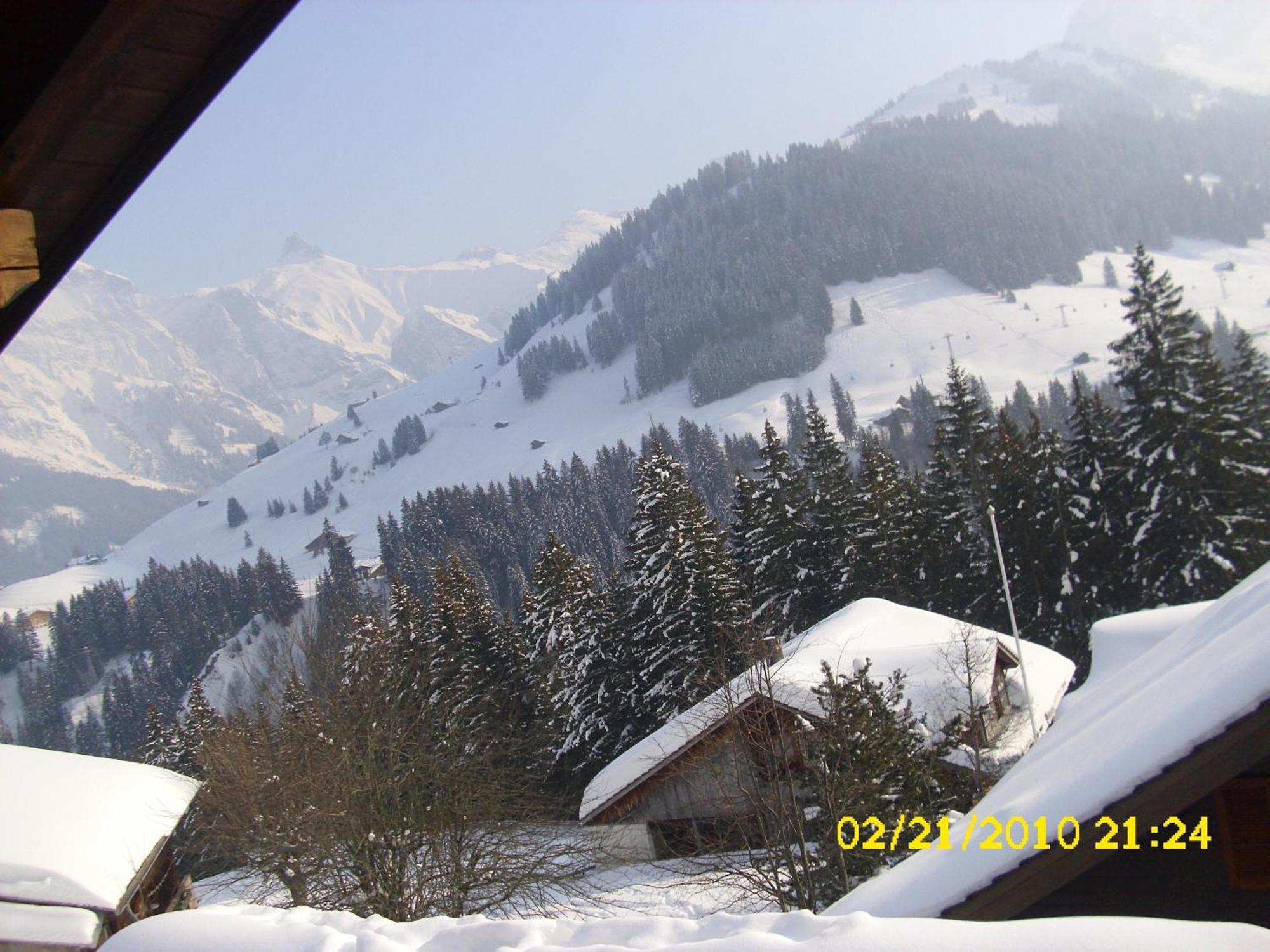 Apartment Nadeschda Adelboden Dış mekan fotoğraf
