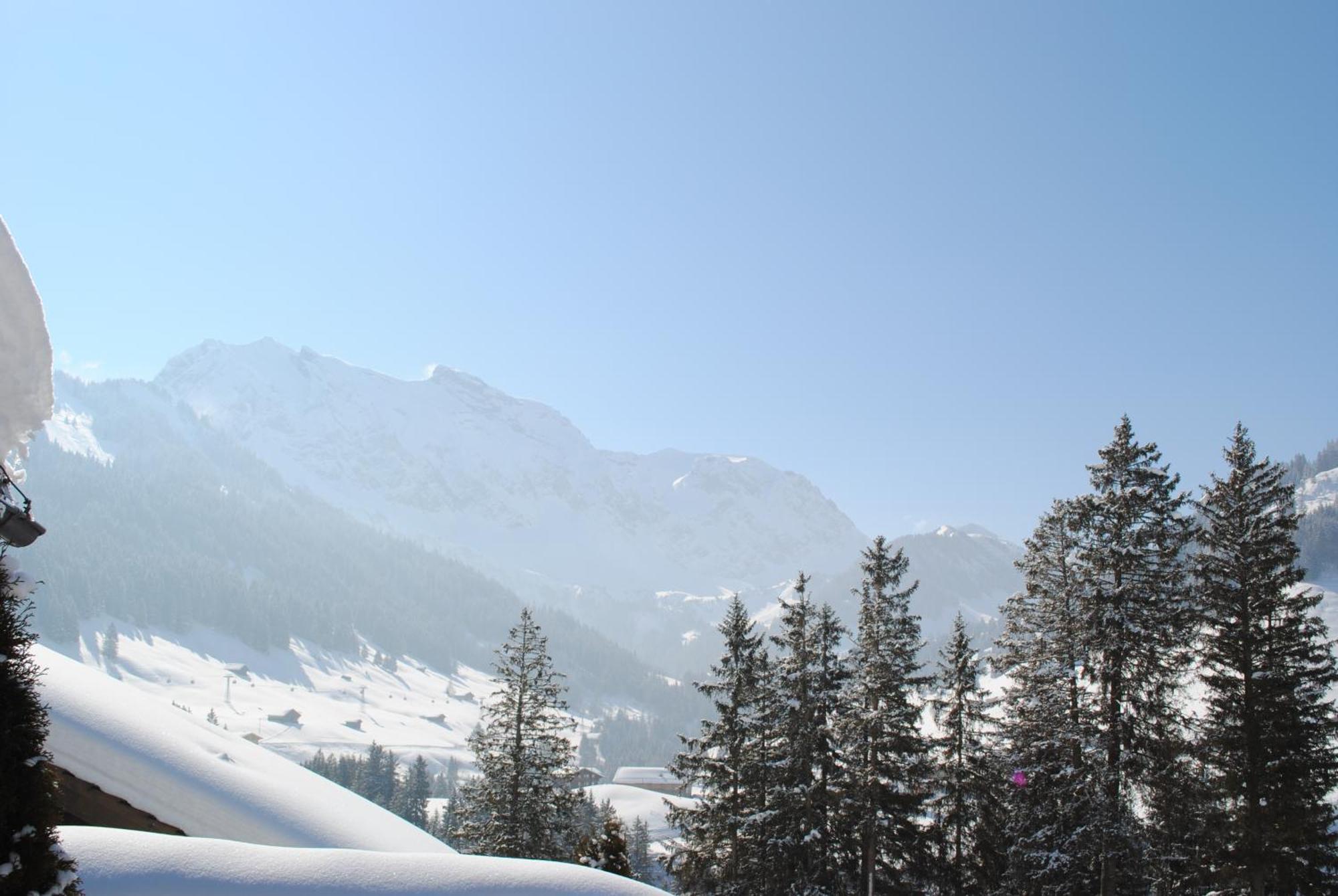 Apartment Nadeschda Adelboden Dış mekan fotoğraf