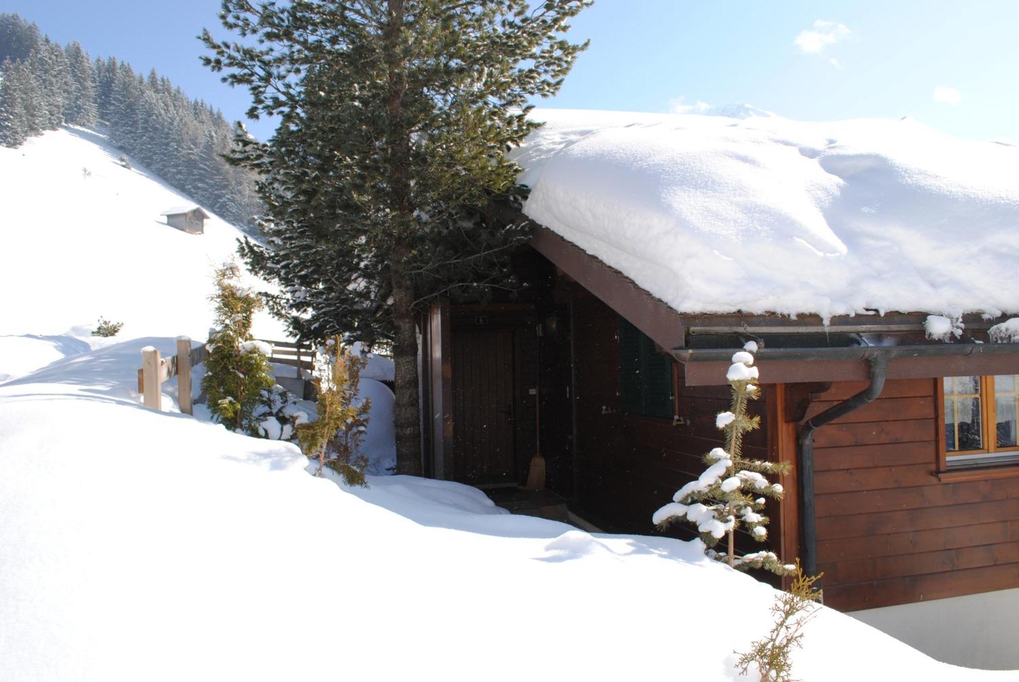 Apartment Nadeschda Adelboden Dış mekan fotoğraf