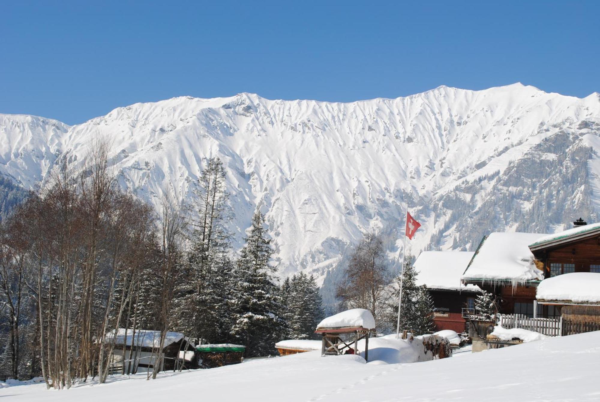 Apartment Nadeschda Adelboden Dış mekan fotoğraf